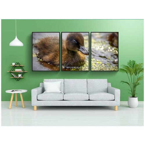 фото Набор модулных постеров для интерьера "утята, утка, милый" 60x90 см. в тубусе, без рамки lotsprints