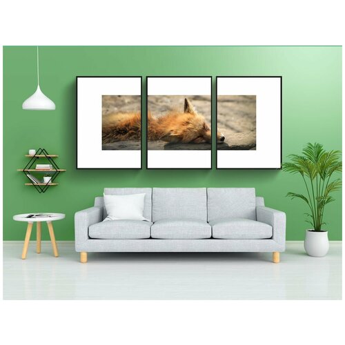 фото Набор модулных постеров для интерьера "лиса, огненный краб, мех лисы" 60x90 см. в тубусе, без рамки lotsprints