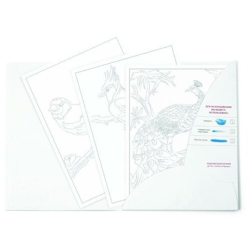 Раскраска-эскиз АРТформат птицы 10 листов А4 акварельная бумага, 200 гр, в папке