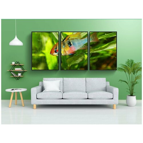 фото Набор модулных постеров для интерьера "аквариум, рыба, циклид" 60x90 см. в тубусе, без рамки lotsprints