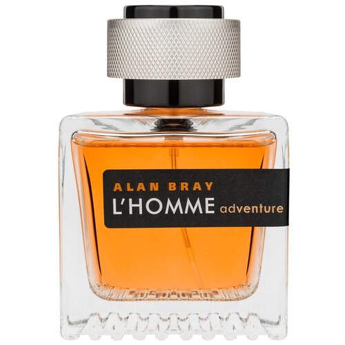 Alan Bray туалетная вода L'Homme Adventure, 100 мл, 395 г