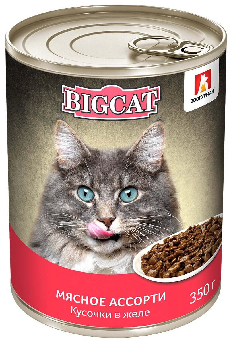 Зоогурман BIG CAT для взрослых кошек с мясным ассорти в желе (350 гр)