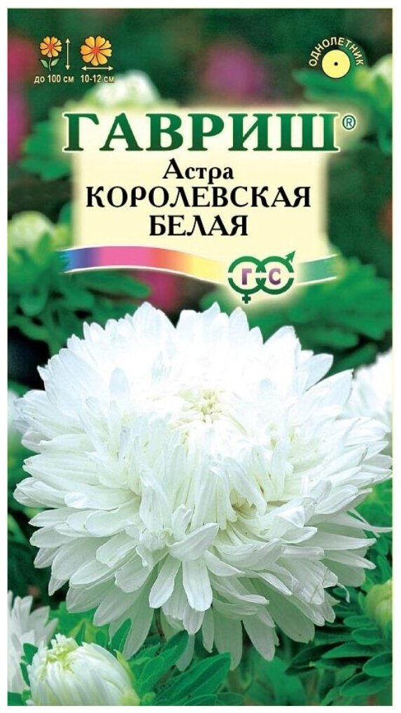 Астра Королевская Белая пионовидная 0,3г Одн 100см (Гавриш)