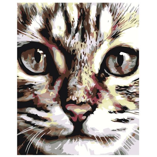 Картина по номерам, Живопись по номерам, 48 x 60, A67, портрет, котёнок, животное, кот, большие глаза, взгляд, картина картина по номерам живопись по номерам 48 x 60 fu36 психоделический картина животное кот