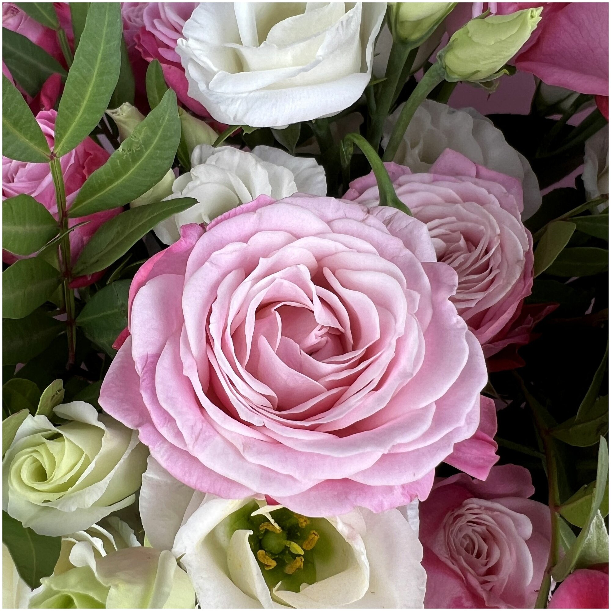 Сборный букет из эустомы и кустовых роз. Букет AR0385 ALMOND ROSES