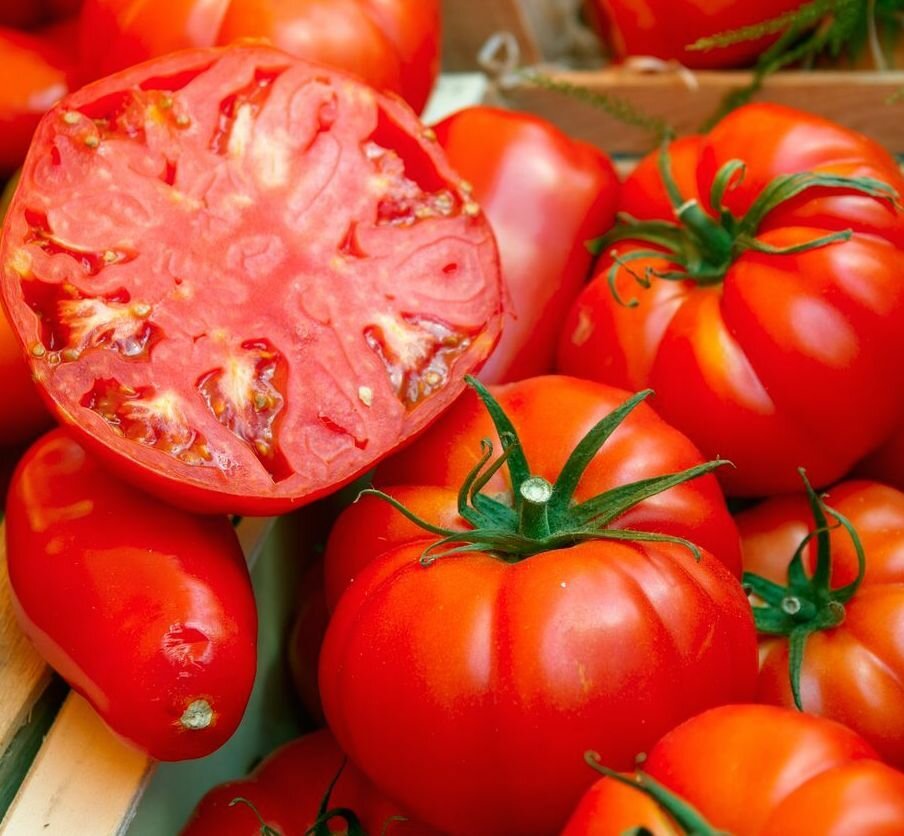 Томат Бифштекс (лат. Tomato Beefsteak) семена 10шт + подарочек