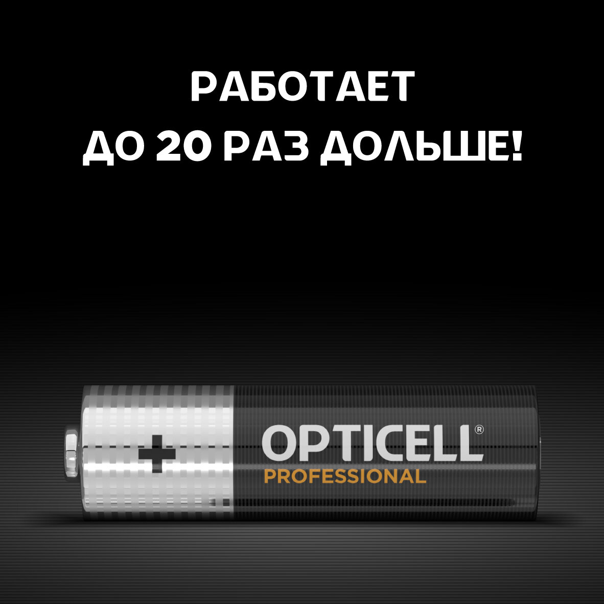 Элемент питания алкалиновый 12AA/LR6 Professional Opticell