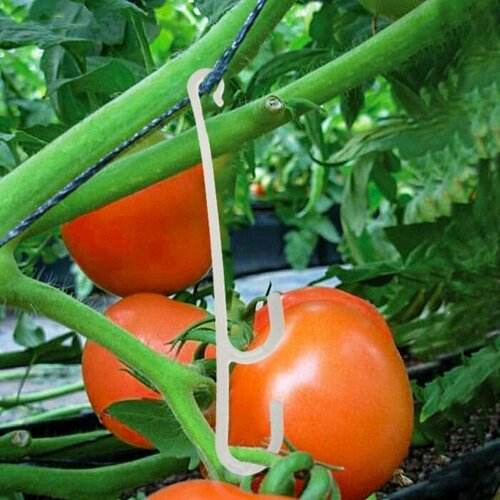 Кистедержатель - двойной крючок, 10 шт