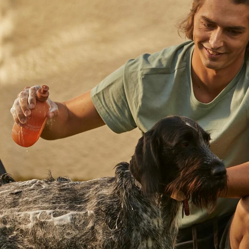 Аwoof Шампунь для собак 500 мл — фото 1