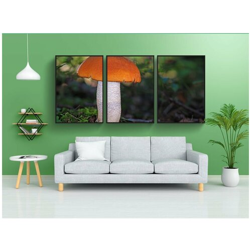 фото Набор модулных постеров для интерьера "подберезовый гриб, гриб, birkenroehrling" 60x90 см. в тубусе, без рамки lotsprints