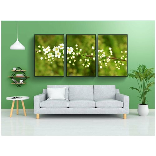 фото Набор модулных постеров для интерьера "tawuła, декоративный кустарник, весна" 60x90 см. в тубусе, без рамки lotsprints