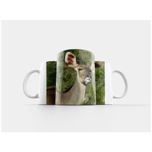 фото Кружка "мыс грысбок, дикая природа, восточный мыс" 320 мл lotsprints