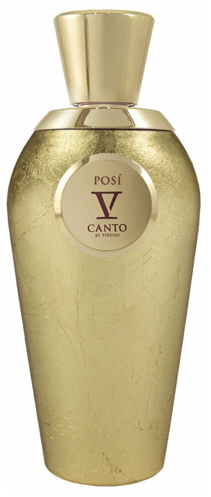 V Canto Posi Extrait de Parfum 100мл