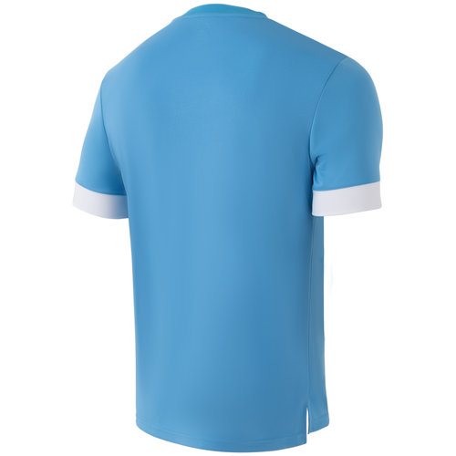 Футболка игровая DIVISION PerFormDRY Union Jersey, голубойбелыйбелый, р.XL