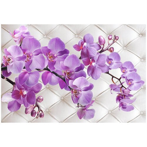 Фотообои Уютная стена 3D орхидея на кожаном фоне 400х270 см Виниловые Бесшовные (единым полотном)