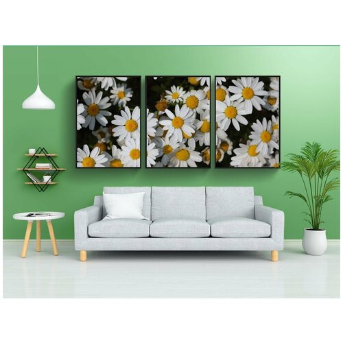 фото Набор модулных постеров для интерьера "цветы, белый цветок, растения" 60x90 см. в тубусе, без рамки lotsprints