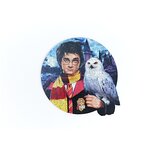 Деревянные пазлы для детей и взрослых/Гарри Поттер/уникальных деталей 100 - изображение