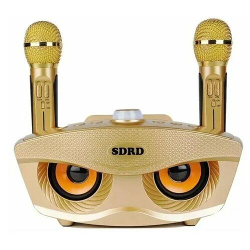 Портативная колонка караоке SDRD SD-306 GOLD 599700₽