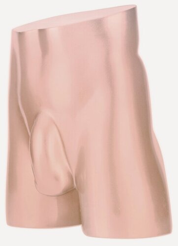 Изображение товара Манекен мужчина (торс с мошонкой)