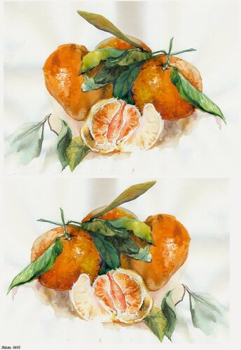 Изображение товара Рисовая бумага для декупажа карта салфетка А4 салфетка 0693 мандарины фрукты цитрус апельсин винтаж крафт Milotto