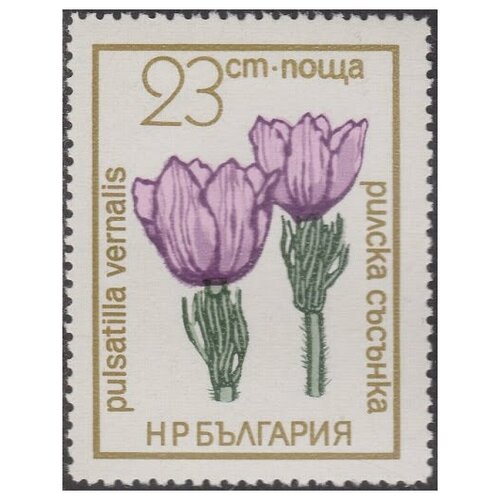 1972 068 марка болгария прострел весенний цветы под охраной ii θ (1972-068) Марка Болгария Прострел весенний Цветы под охраной II Θ