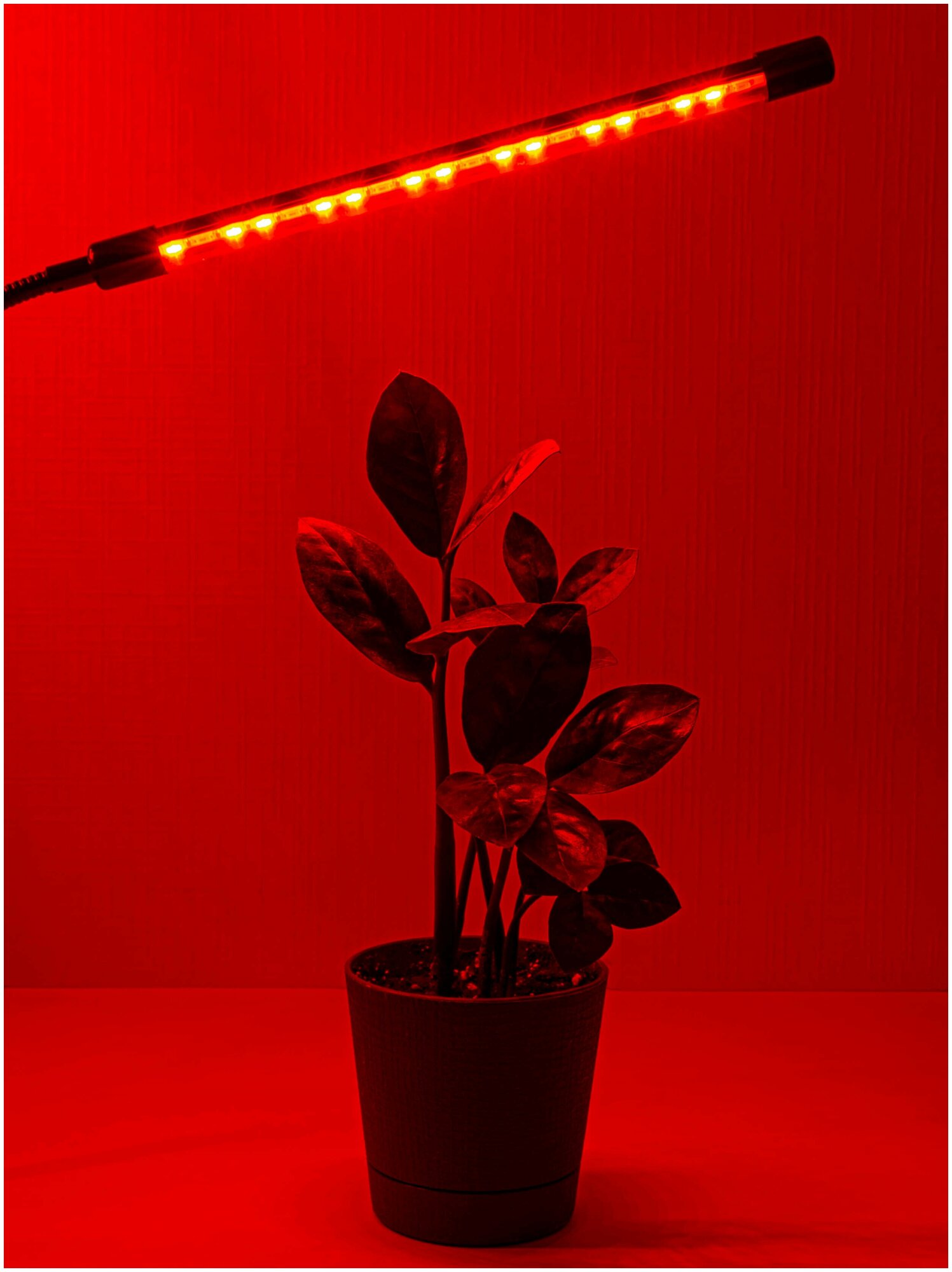 Фитолампа для растений светодиодная полного спектра. Фитолампа для рассады. Светильник лампа LED на прищепке с таймером, 3 лампы - фотография № 16