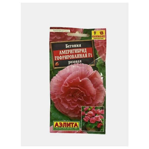 Семена Агрофирма АЭЛИТА Бегония Америгибрид гофрированная F1 розовая, 5 шт