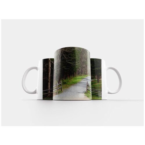 фото Кружка "парк, к северу, каролина" 320 мл lotsprints