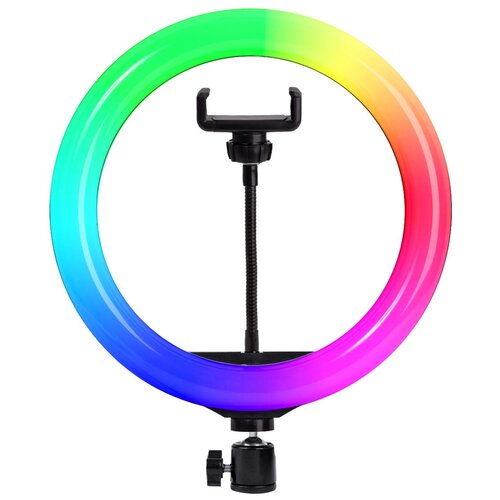 Кольцевая лампа RGB 26 см без штатива Кольцевая LED лампа Кольцевая лампа Кольцевая лампа для телефона Кольцевая лампа 26 см Лампа RGB 110900₽
