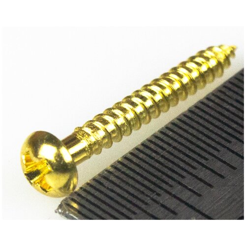 PARTSLAND WR2116GD, cаморез для крышки анкера или колков (2.1x16mm), золото