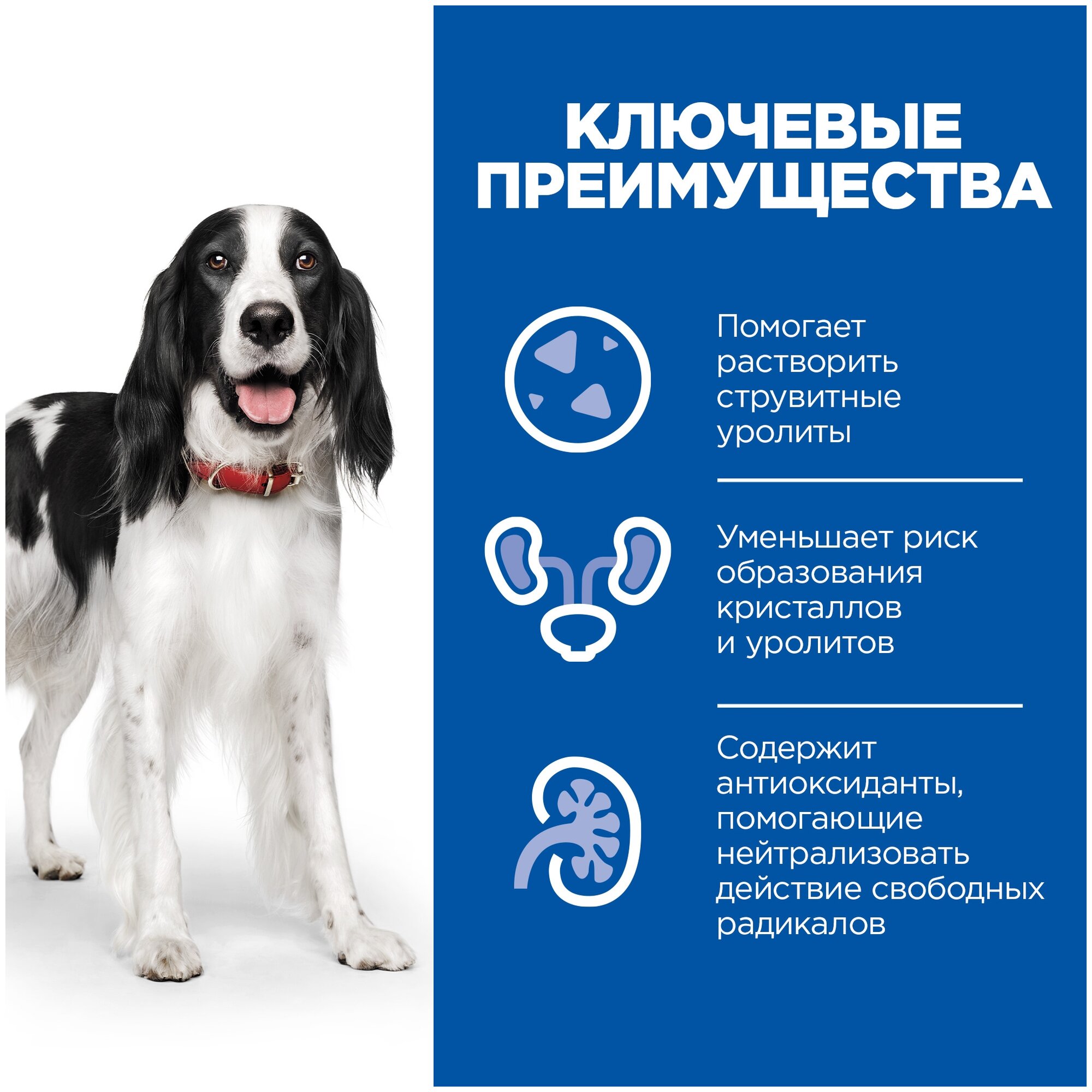 Hill's Prescription Diet Multicare Urinary Care корм для собак при профилактике МКБ (Курица, 1,5 кг.) - фото №15