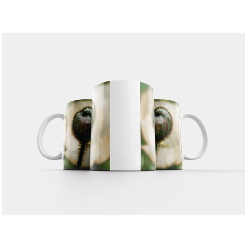 фото Кружка "капсула с маком, мак, цветок" 320 мл lotsprints