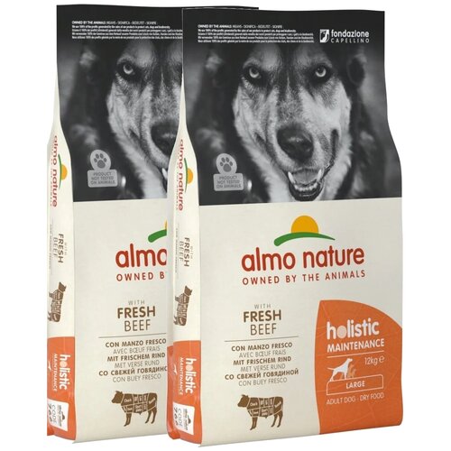 Сухой корм для собак Almo Nature Holistic, говядина, с рисом 1 уп. х 2 шт. х 12 кг takk dog adult medium beef для взрослых собак средних пород с говядиной 2 2 кг