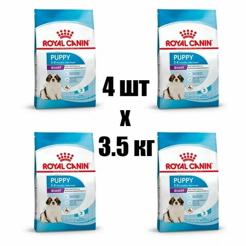 фото (4 шт.) 3.5 кг, royal canin (giant puppy) сухой корм, для щенков, гигантских размеров, в возрасте от 2 до 8 месяцев