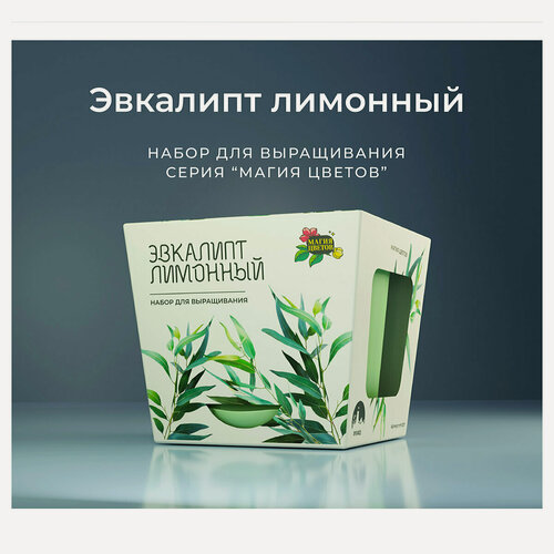 Изображение товара Магия Цветовнабор для выращивания Эвкалипт лимонный mf-007-QM59 с семенами и инструкцией