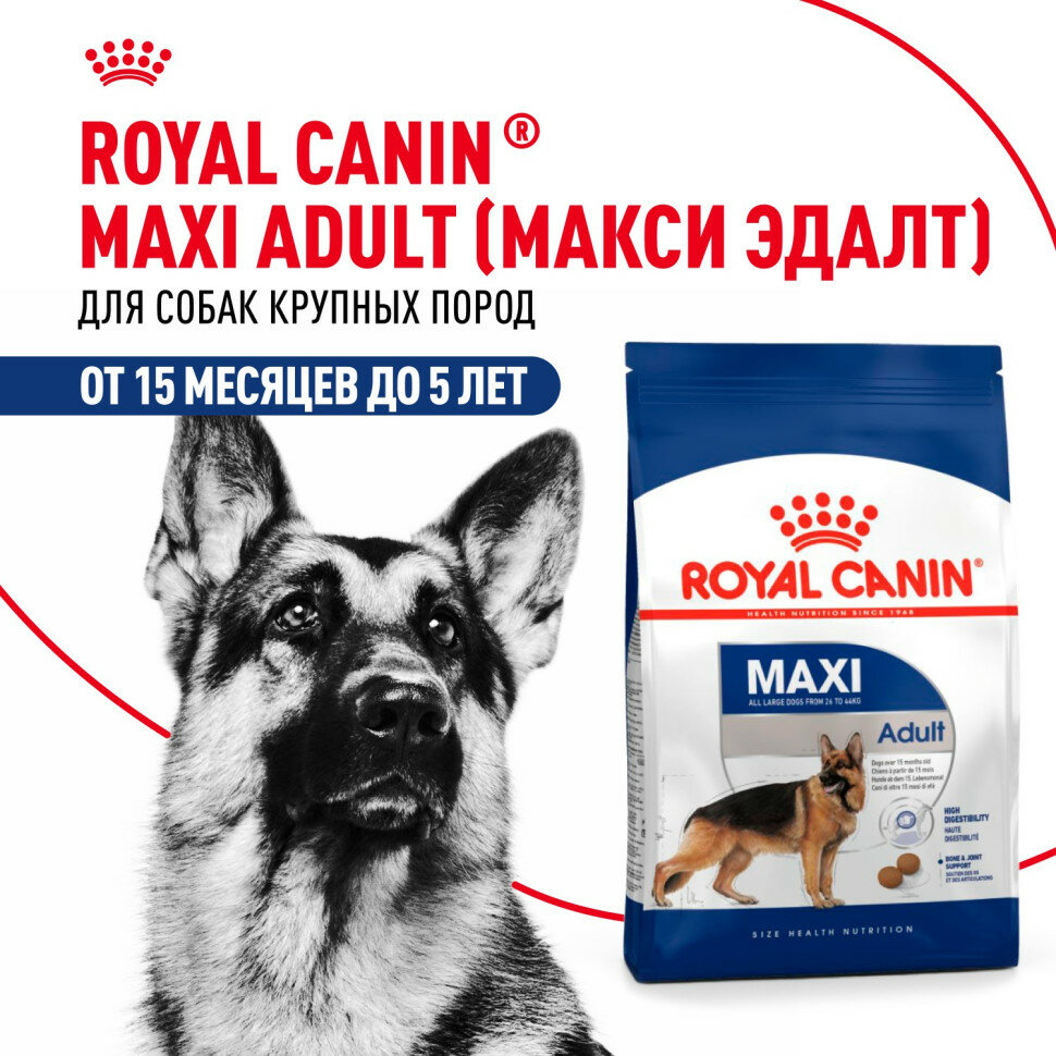 Royal Canin Maxi Adult сухой корм для взрослых собак крупных размеров от 15 месяцев до 5 лет - 3 кг