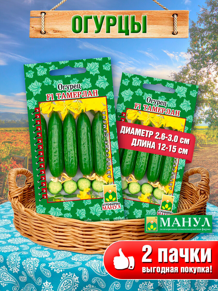 Набор семян огурцов 
