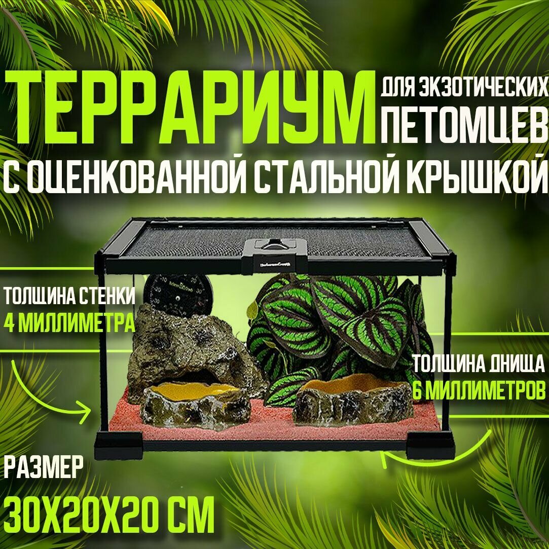 Террариум стеклянный с крышкой,30X20X20CM