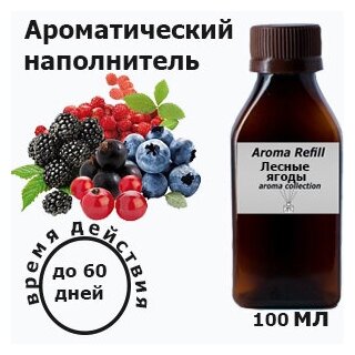 Наполнитель для ароматического диффузора "Лесные ягоды" 100 мл.