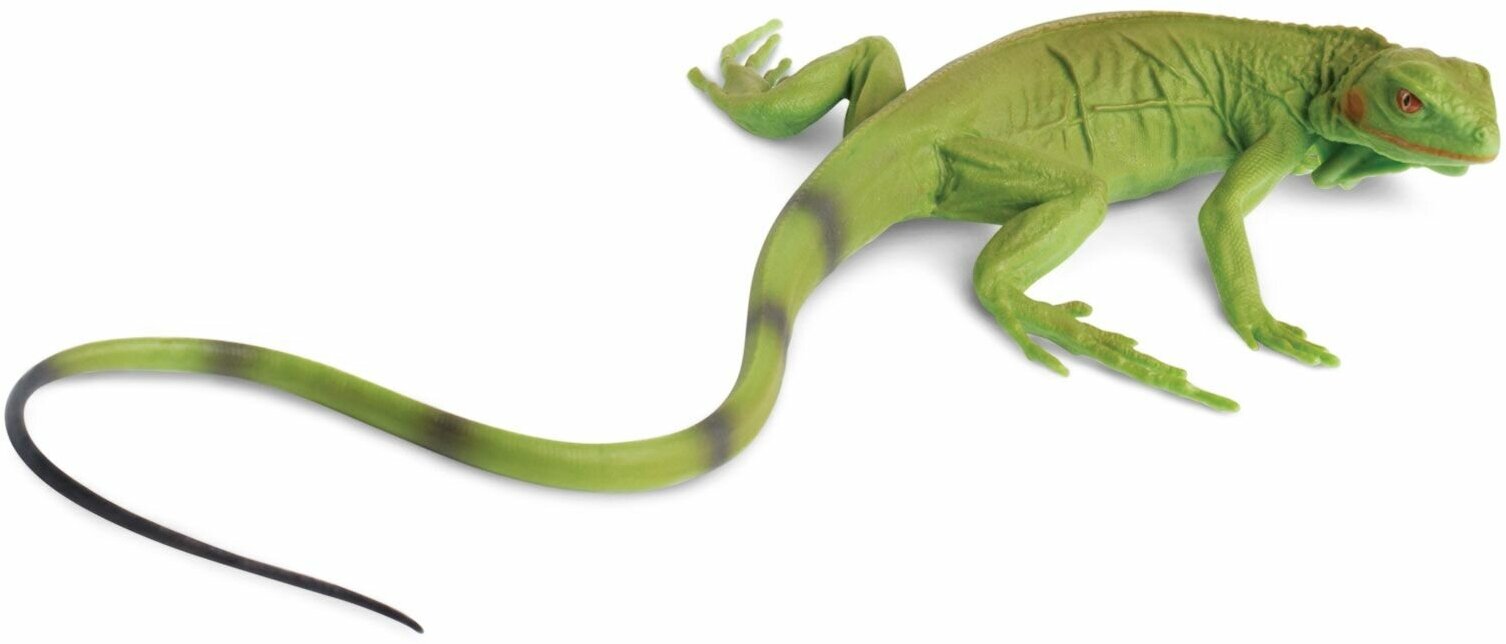 Фигурка животного ящерицы Safari Ltd Игуана (детеныш) XL, для детей, игрушка коллекционная, 258329