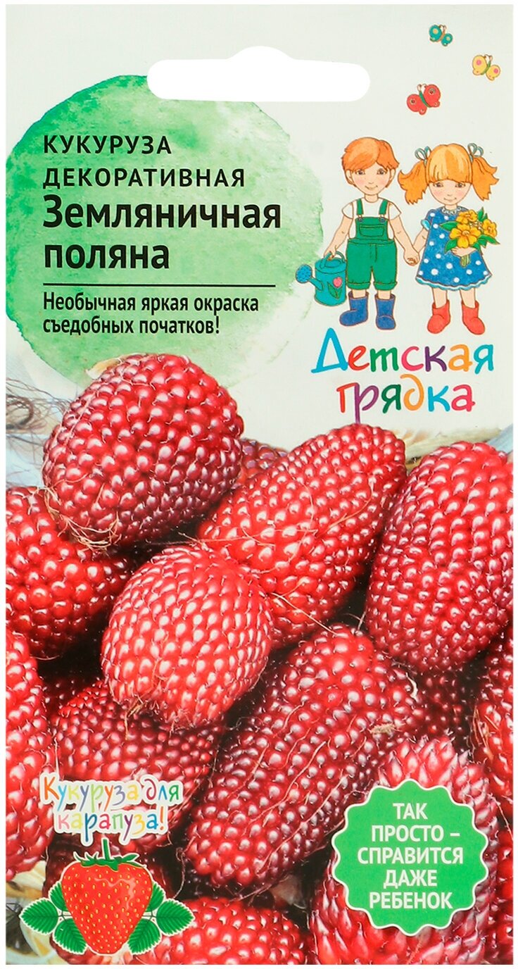 Декоративная кукуруза Земляничная поляна 1 г Детская грядка семена кукурузы сладкой