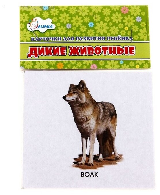Дидактические карточки Улыбка Учебные карточки. Дикие животные России