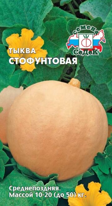 Тыква Стофунтовая, семена Седек (1 уп: 2г )