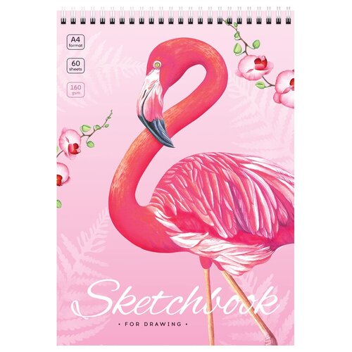 Скетчбук 60л, А4 ArtSpace Flamingos, на гребне, 160г/м2, 1 шт скетчбук a4 160 г 60 листов цвет листов розовый