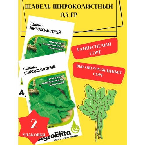 Щавель Широколистный, 0,5 гр 2 упаковки щавель польский широколистный 2 упаковки