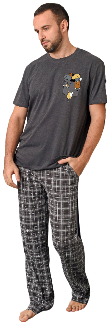 Комплект домашний мужской (футболка/брюки) Дружная семейка», цвет антрацит, размер 54 - фотография № 1