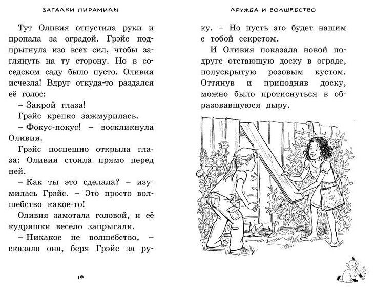 Загадки пирамиды (Дэйз Хейли, Кронхеймер Энн (иллюстратор), Торчинская Мария О. (переводчик)) - фото №3