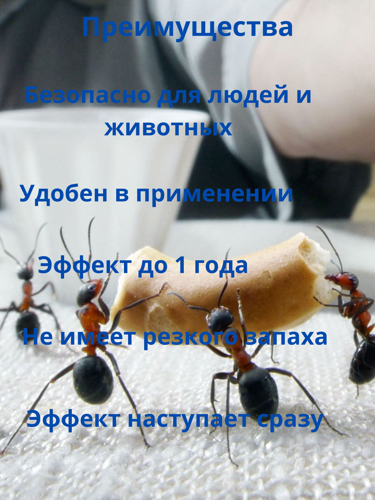 Средство от домашних муравьев - фотография № 2