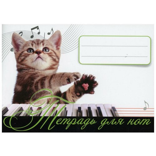 тетрадь для нот котенок музыкант Тетрадь для нот. (Котенок - музыкант)