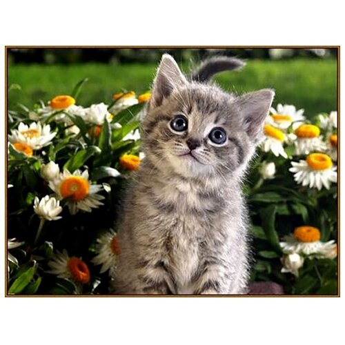 фото Milato набор алмазной вышивки послушный котенок (n-363) 27х20 см